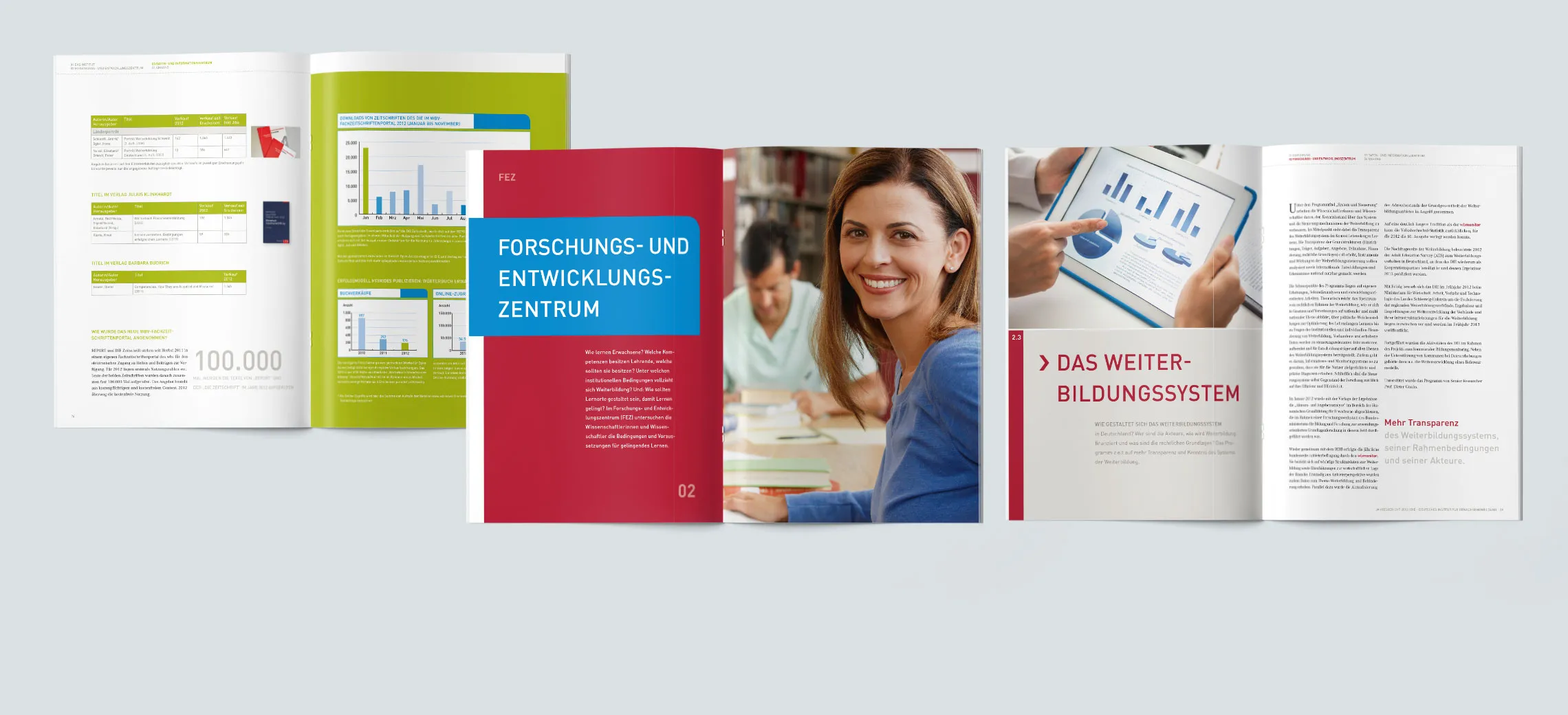 Jahresbericht DIE – Innenseiten 2