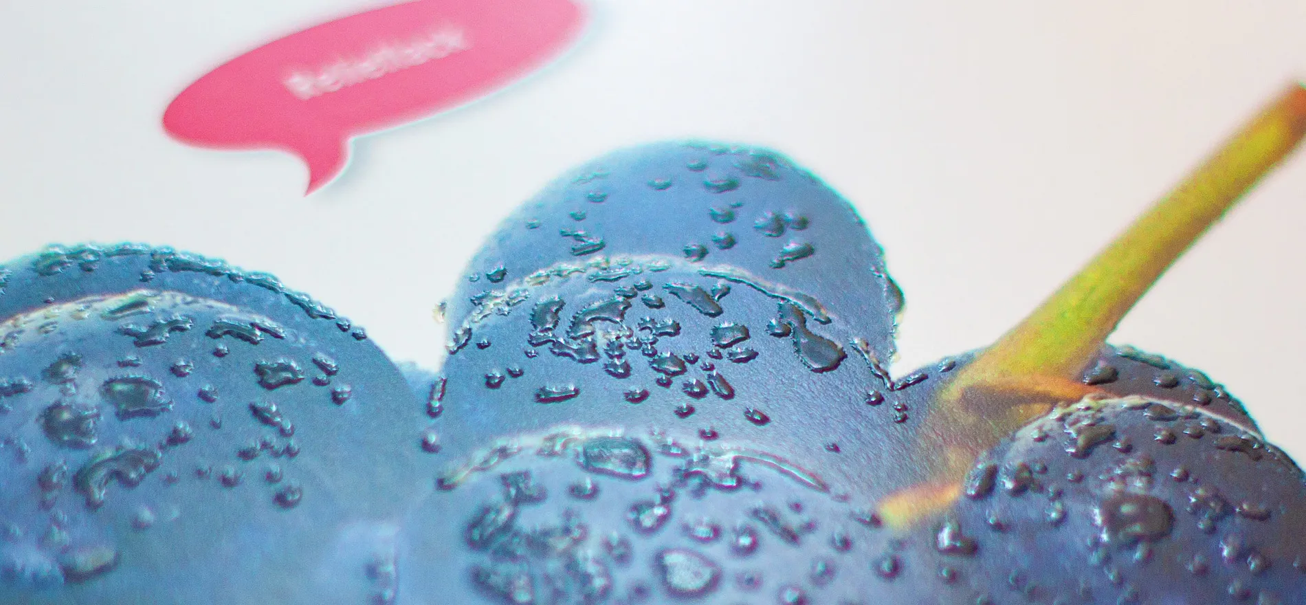 Produktbroschüre Druckstudio: Close-up Spotlack