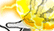 283_02-nh_running-t